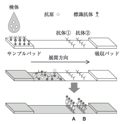 解説画像